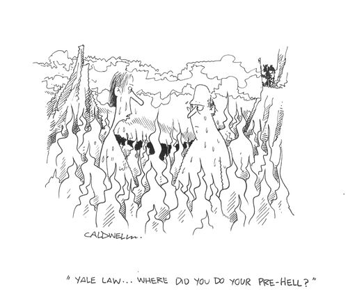 "Yale law....where did you do your pre-hell?"