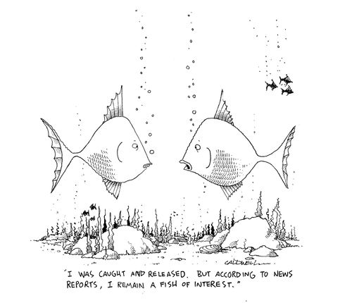 "I was caught and released. But according to news reports, I remain a fish of interest."