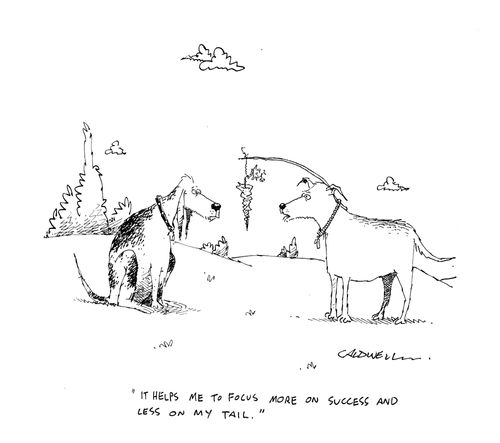 "It helps me to focus more on success and less on my tail."