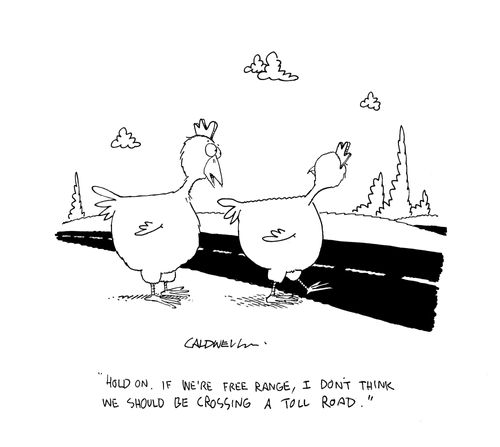 "Hold on. If we're free range, I don't think we should be crossing a toll road."