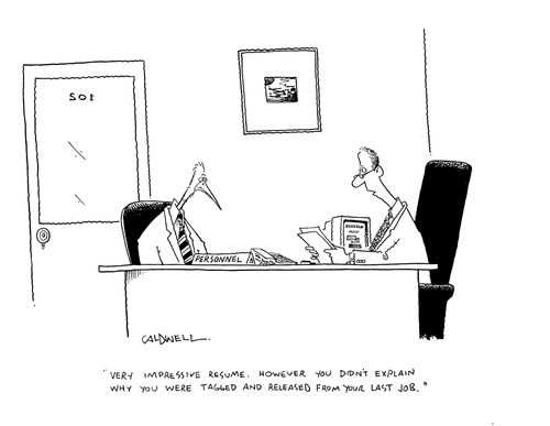 "Very impressive resume, however you didn't explain why you were tagged and released from your last job."
