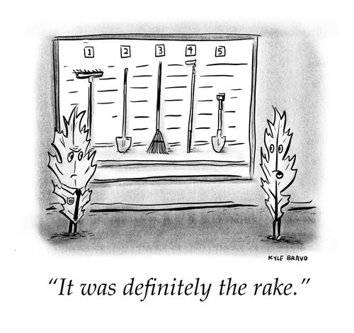 "It was definitely the rake."