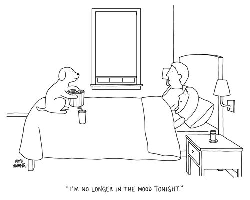 "I'm no longer in the mood tonight."