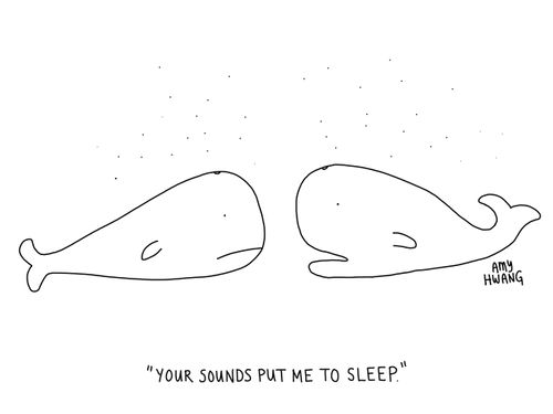 "Your sounds put me to sleep."