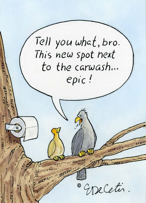 "Tell you what, bro. This new spot next to the car wash... epic!"