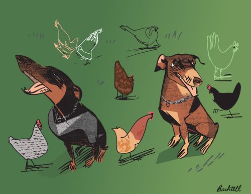 Dogs and Chickens