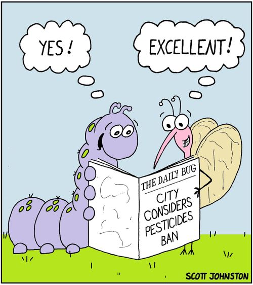 "Yes!"   "Excellent!"   The Daily Bug   City considers pesticides ban