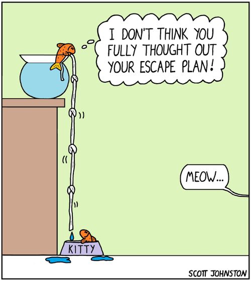 "I don't think you fully thought out your escape plan!"   "Meow..."