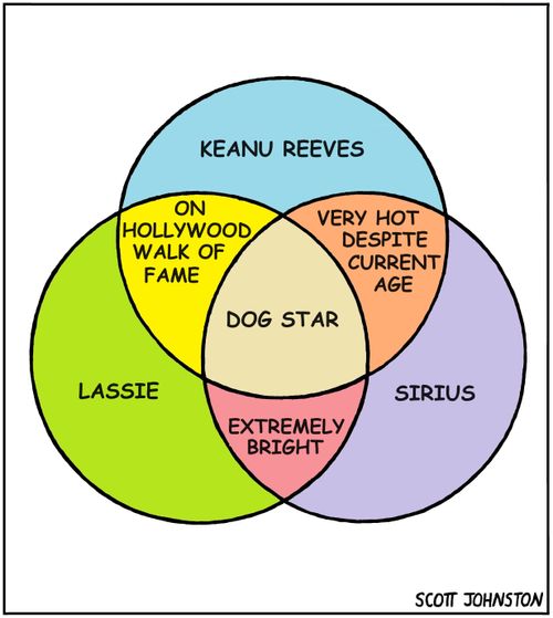 "Dog star"