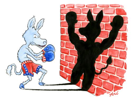 Democratic Illusions