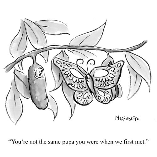 "You're not the same pupa you were when we first met."