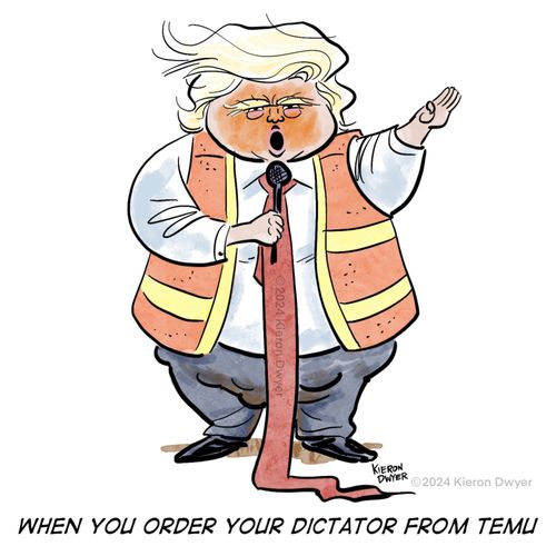 "When you order your dictator from Temu"