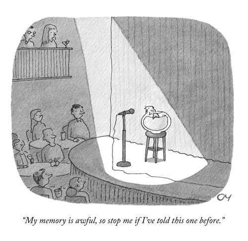 "My memory is awful, so stop me if I've told this one before."