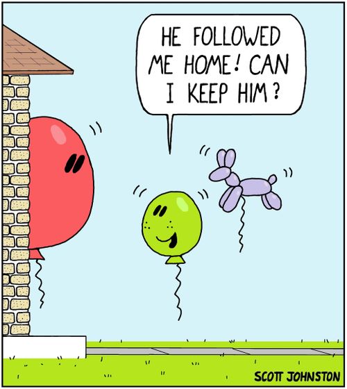 "He followed me home! Can I keep him?"