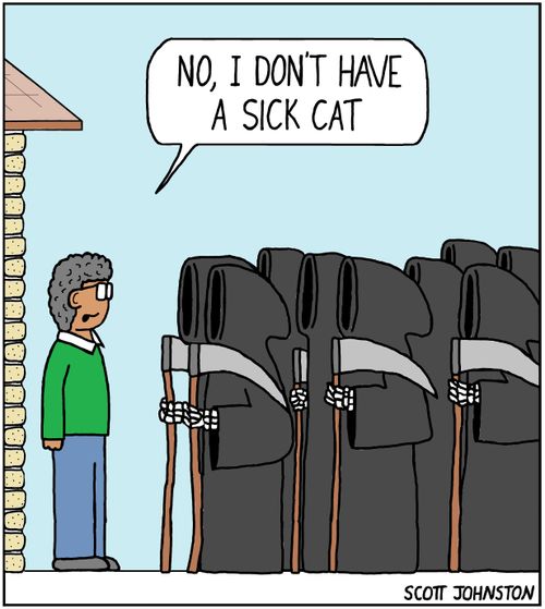 "No, I don't have a sick cat."