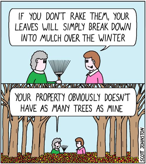 "If you don't rake them your leaves will simply break down into mulch over the winter."