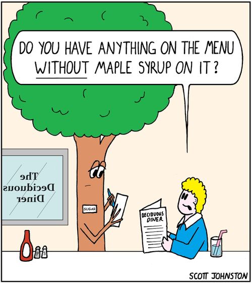 "Do you have anything on the menu without maple syrup on it?"