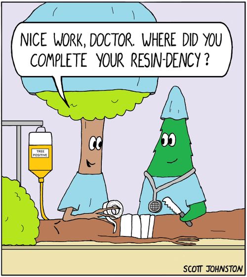 "Nice work, doctor. Where did you complete your resin-dency?"