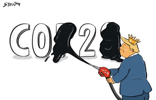 "Cop 20"