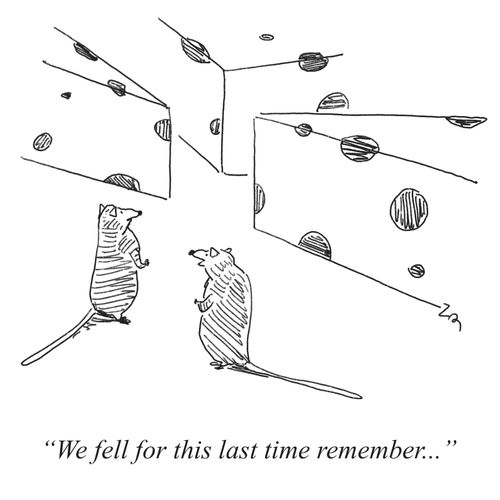 "We fell for this last time remember..."