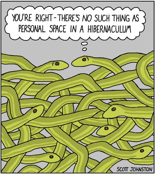"You're right—there's no such thing as personal space in a hibernaculum."