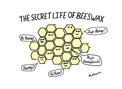 "The secret life of beeswax"  "Hi honey."  "Sup honey?"  "Hiya honeybunch!"  "Honey?"  "Hi hon!"