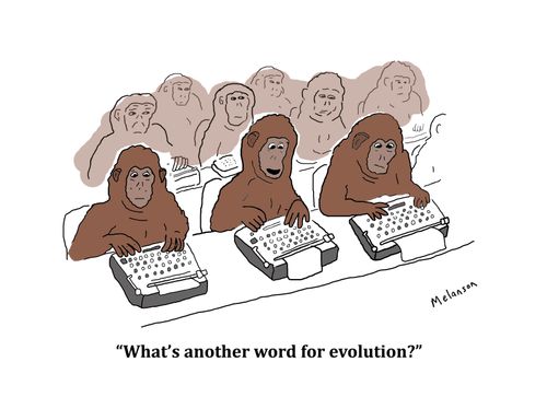 "What's another word for evolution?"