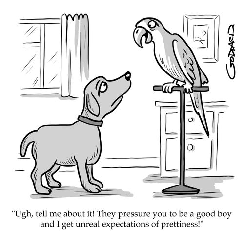 "Ugh, tell me about it! They pressure you to be a good boy and I get unreal expectations of prettiness!"