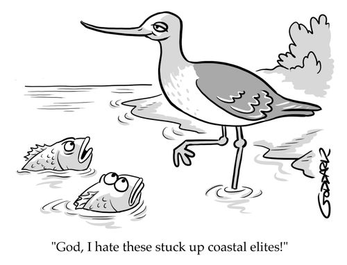 "God, I hate these stuck up coastal elites!"