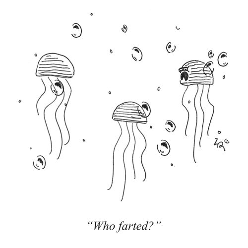 "Who farted?"