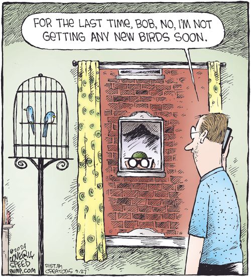 "For the last time, Bob, no, I'm not getting any new birds soon."