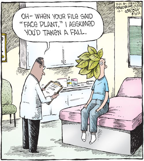 "Oh—when your file said 'face plant,’ I assumed you’d taken a fall."
