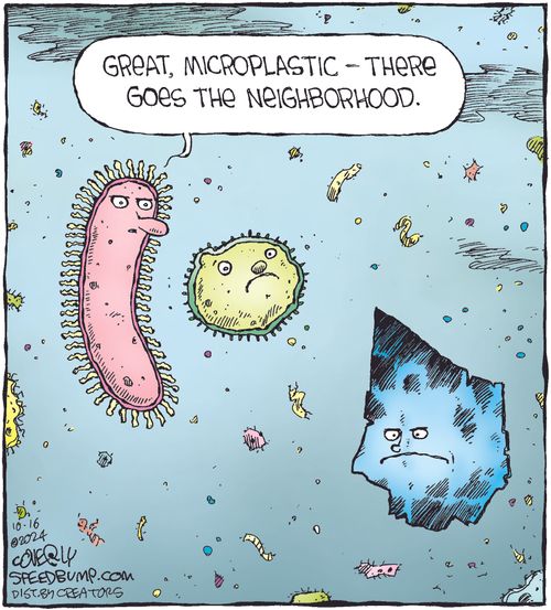 "Great, microplastic - there goes the neighborhood."