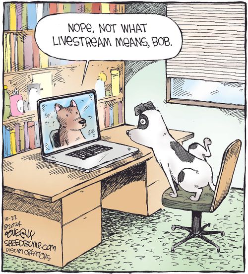"Nope, not what livestream means, Bob."
