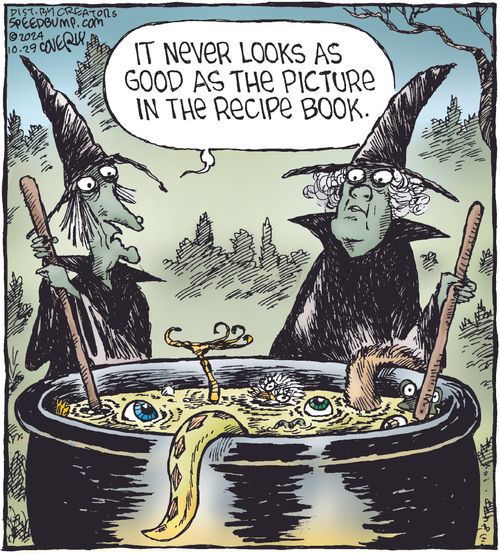 "It never looks as good as the picture in the recipe book."