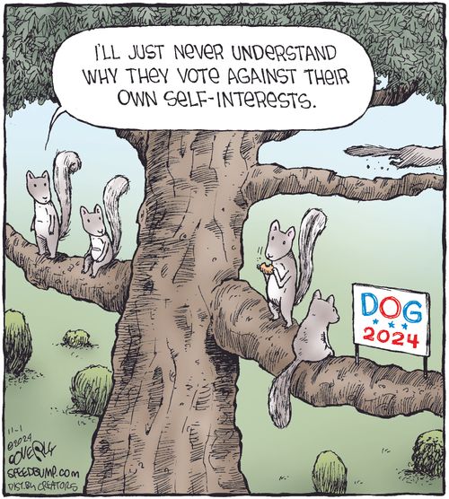 "I'll just never understand why they vote against their own self-interests."
