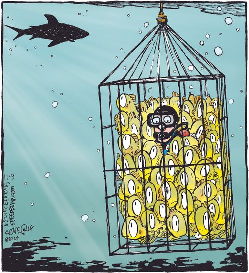 The Shark Cage