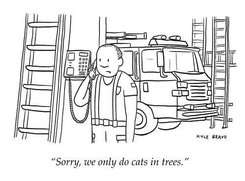 "Sorry, we only do cats in trees."