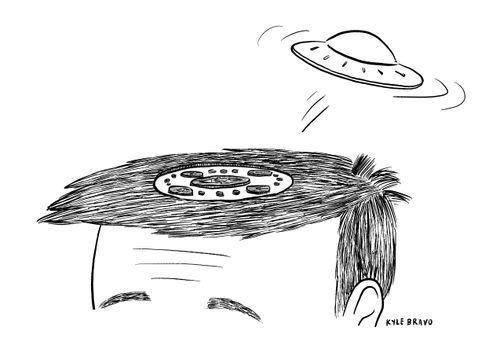 Hair Crop Circle
