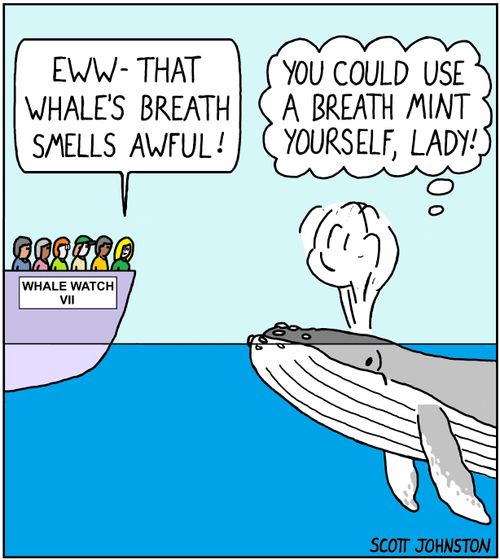 "Eww - that whale's breath smells awful!"   "You could use a breath mint yourself, lady!"