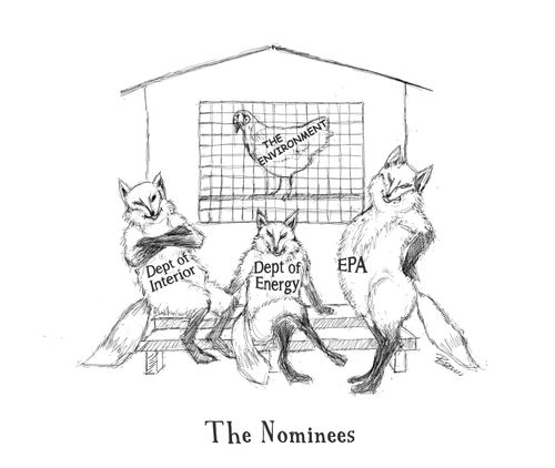 "The Nominees"