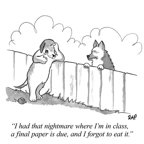 "I had that nightmare where I’m in class, a final paper is due, and I forgot to eat it."