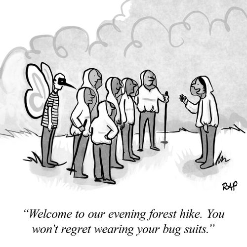 "Welcome to our evening forest hike. You won't regret wearing your bug suits."