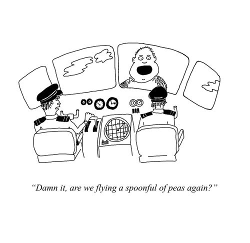 "Damn it, are we flying a spoonful of peas again?"