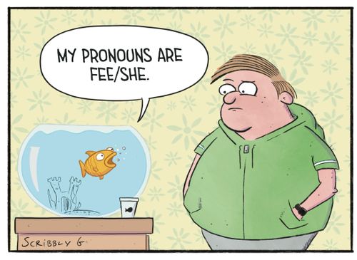 "My pronouns are fee/she."
