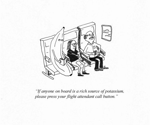 "If anyone on board is a rich source of potassium, please press your flight attendant call button."