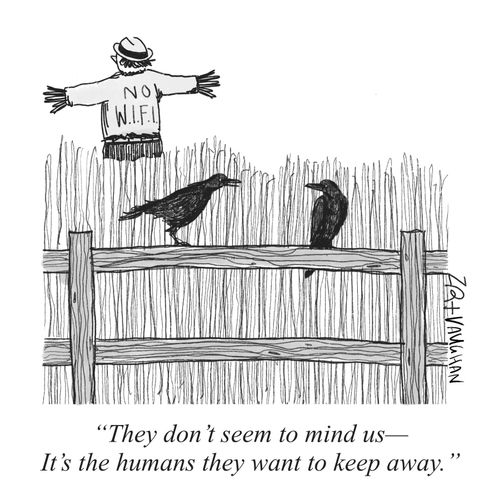 "They don’t seem to mind us — it's the humans they want to keep away."
