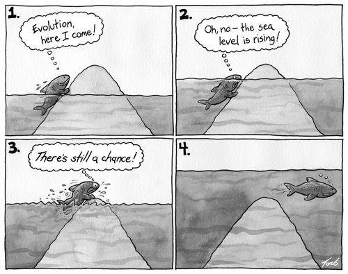 "Evolution, here I come!"  "Oh, no - the sea level is rising!"  "There's still a chance!"
