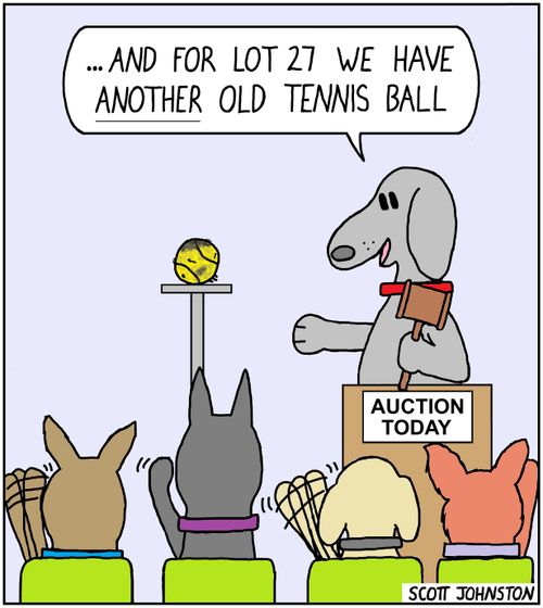 "And for lot 27 we have another old tennis ball."