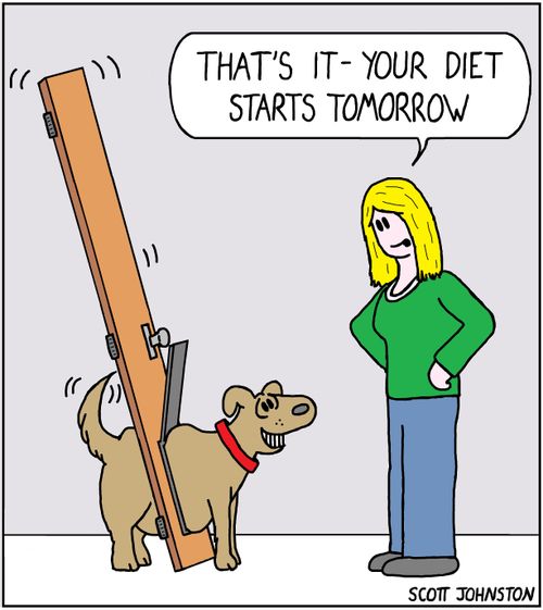 "That's it - your diet starts tomorrow"
